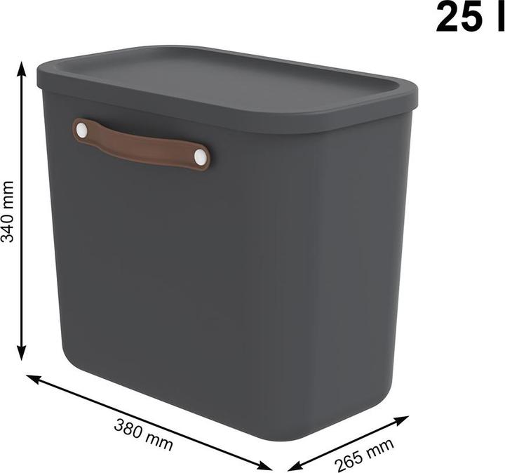 Actual product image Rotho Aufbewahrungsbox 25 l MALOJA (25 l)