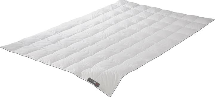 Produktbild Badenia Trendline Daunendecke Comfort leicht (380 g, 155 x 220 cm)