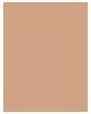 Immagine prodotto Sisley Sisleya Le Teint No 2R (2C1 Organza)