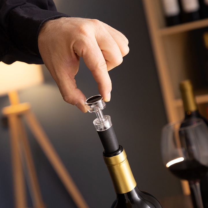 Actual product image InnovaGoods Set of wine accessories - Servin (Wine aerator, Wine pourer)