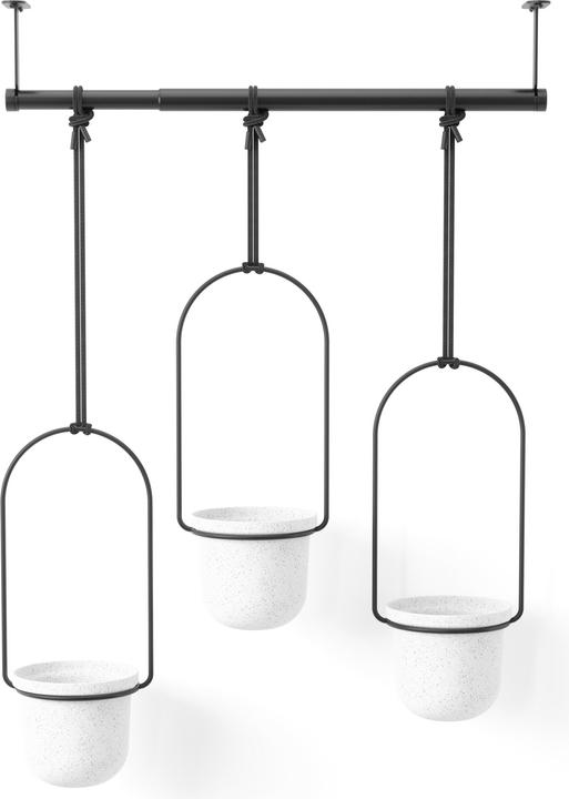 Produktbild Umbra Triflora (15 cm)