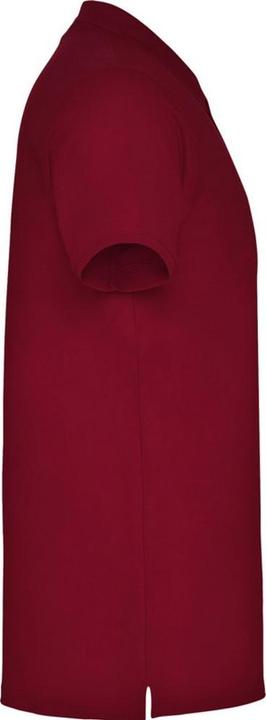 Produktbild Alpinia Star Poloshirt kurzärmlig (XL)