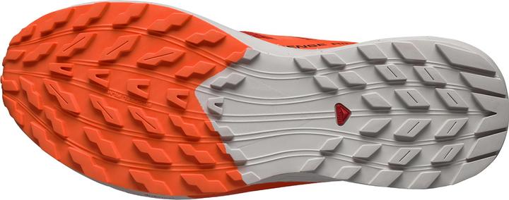 Actual product image Salomon Sense Ride 5 (46 2/3)