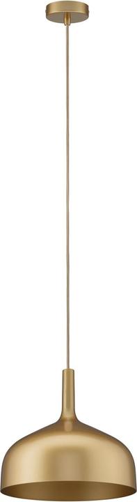 Image du produit Paulmann Embla II (E27)