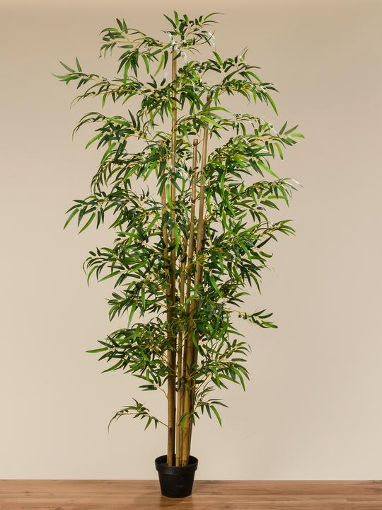 Produktbild Boltze Home Topfpflanze (180 cm)