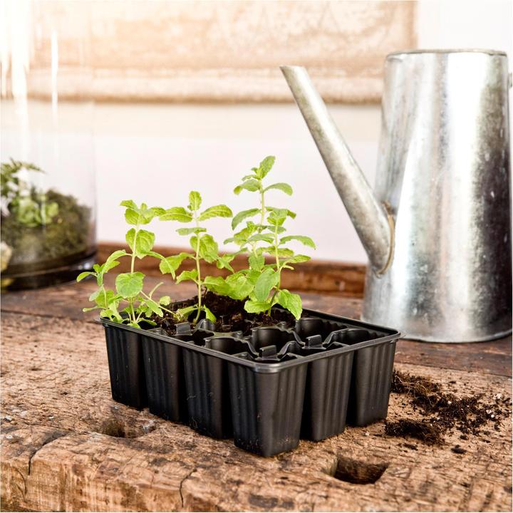 Image du produit Windhager Plaques de pot