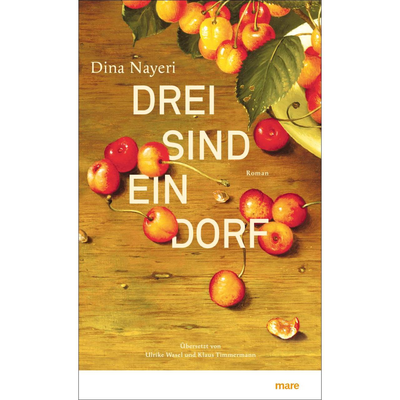 Drei sind ein Dorf, Belletristik von Dina Nayeri