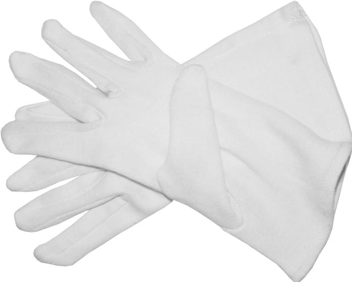 Image du produit Gant en coton blanc (paire) taille M (8), longueur 24 cm (M)