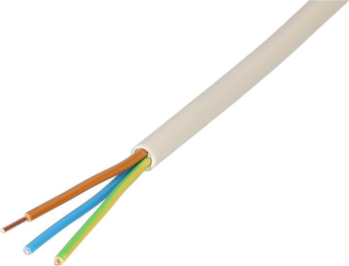 Max Hauri TT-Kabel (10 m)