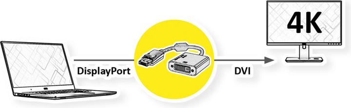 Actual product image Roline DisplayPort — DVI (DVI, 4.50 cm)