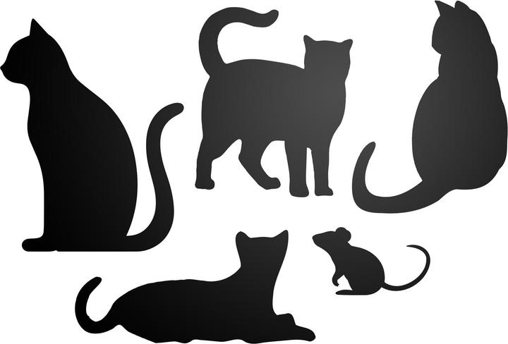 Trendform Selbstklebende Haftfläche ELEMENT FLEX CAT (Bacheca)