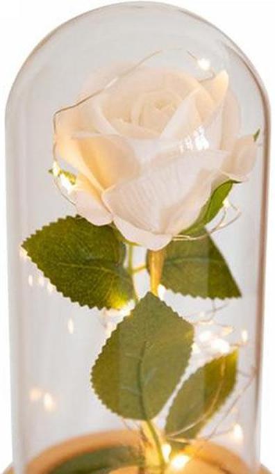 Image du produit TOP Rose éternelle (Fleurs à l'infini)