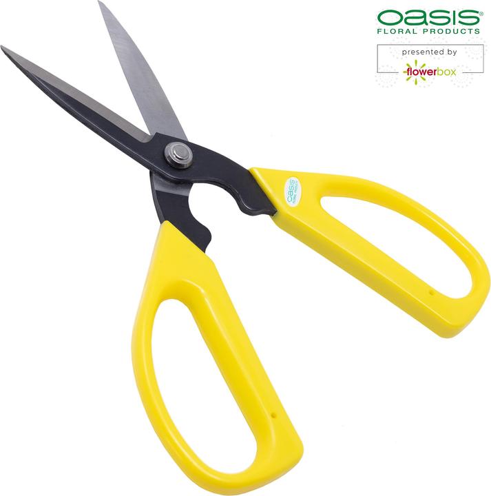 Actual product image Oasis Carbon shears (5.60 cm)