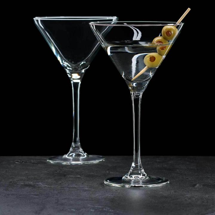 Zwiesel Glas Martiniglas Echo (set van 4), moderne Martini-glazen met bijzonder bodempatroon, vaatwasmachinebestendige Tritan-kristalglazen, Made in Germany (artikelnr. 123383