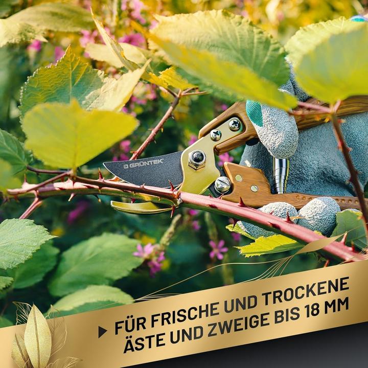 Immagine prodotto Grüntek Edizione Foresta Nera - Forbici per potatura bypass con fondina