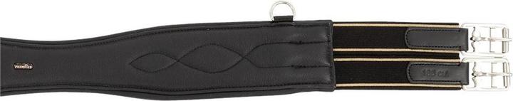 Produktbild Premiere Sattelgurt