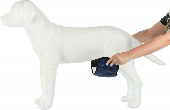 Actual product image Trixie Male bandage L 55-65cm (Dog)