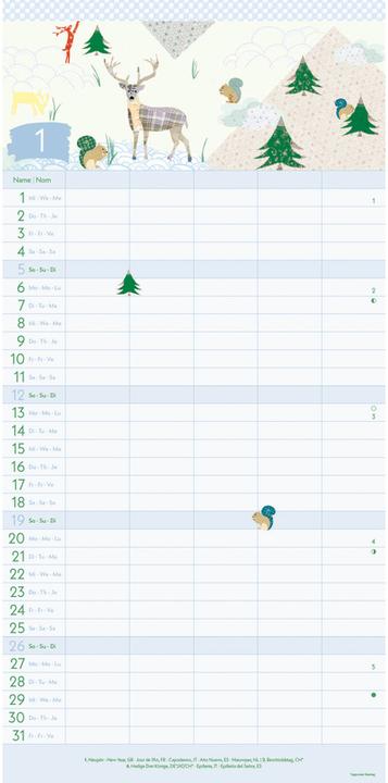Image du produit Greenline Turnowsky 2025 Calendrier familial, 22x45cm, calendrier familial avec efficacité (22 x 45 cm)