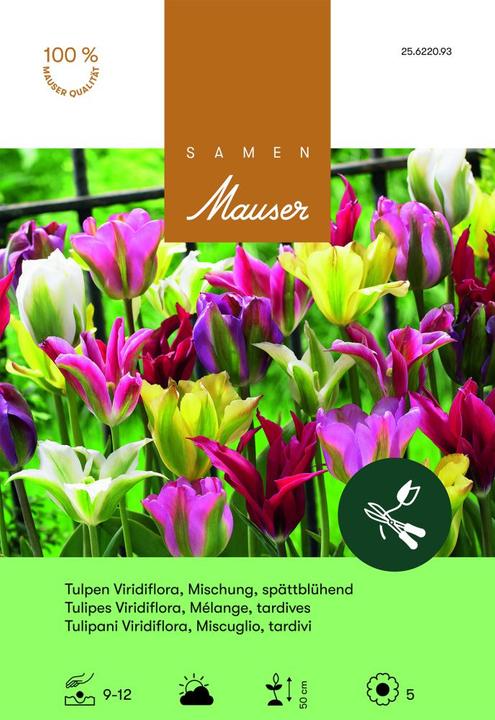 Produktbild Samen Mauser Viridiflora Mischung (Blumenzwiebeln)