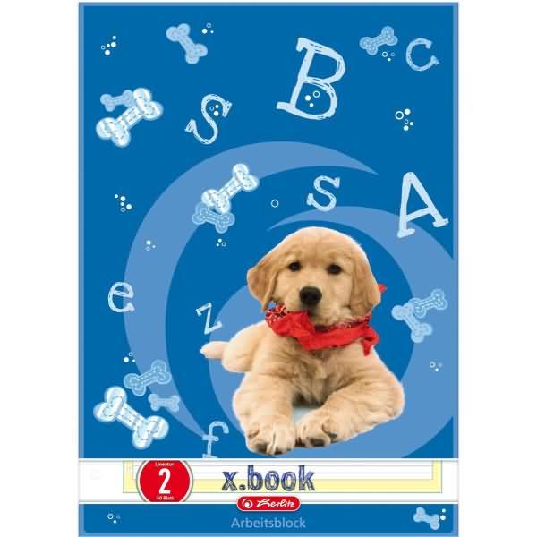 Actual product image Herlitz x.book work pad, DIN A4, ruling 2 (A4, Lined, No binding)