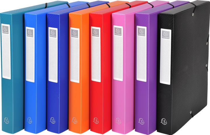 Actual product image Exacompta Archivboxen (A4)