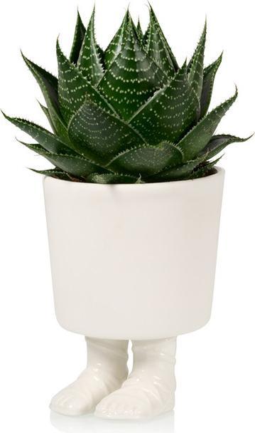 Produktbild Bitten Gladiator Sandal Planter Large