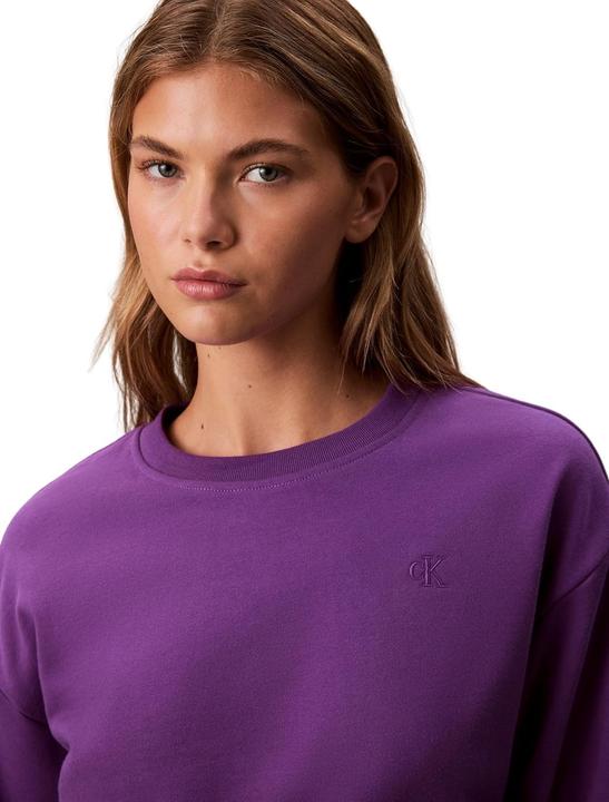 Produktbild Calvin Klein Jeans Ls Archive Logo French Terry Rlx (M)