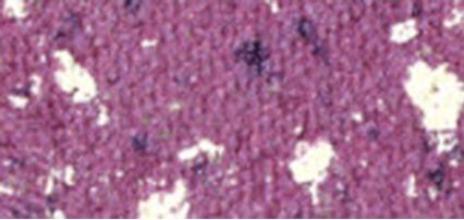 Actual product image Pupa Milano Vamp! Eyeshadow purple crash 101 (101 Purple Crash Gems)