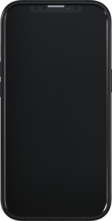 Produktbild Richmond & Finch Black Marble (Apple iPhone 13 Pro)