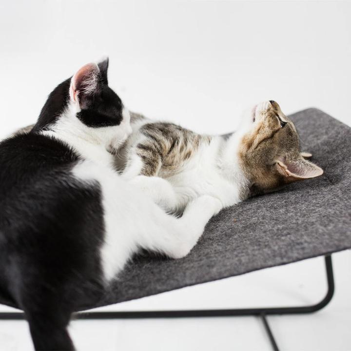 Image du produit LucyBalu FLOAT KatzenhÃ¤ngematte (Chat)