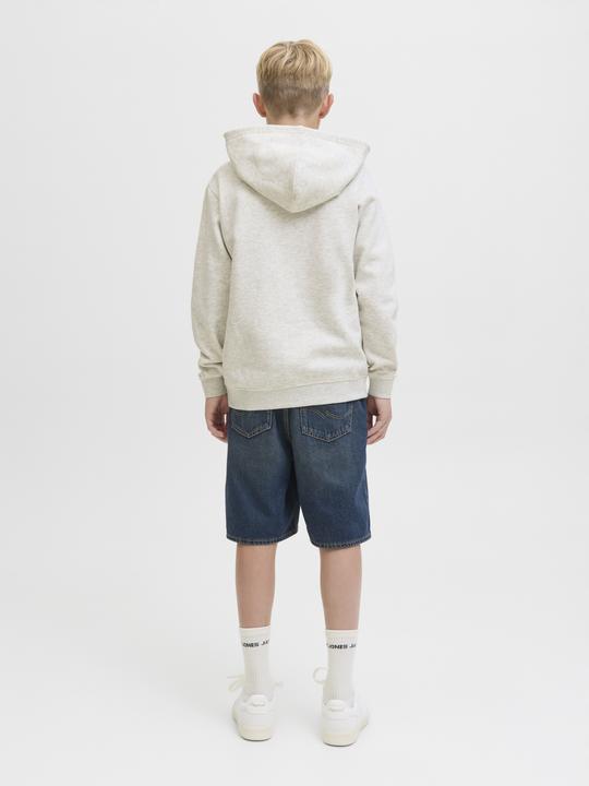 Immagine prodotto Jack & Jones Kapuzenpullover Junior Kapuzenpullover (152)
