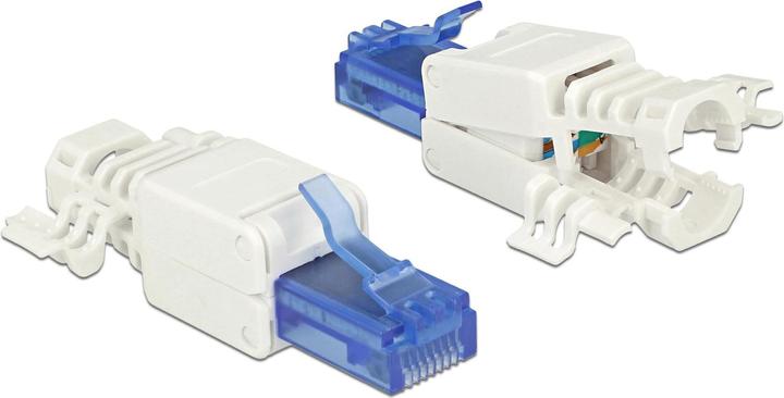 Delock RJ45 stekker, UTP, Cat.6A, 2 stuks (Stekker netwerkkabel)