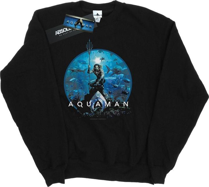 Immagine prodotto Aquaman Circle Poster Felpa Uomo (4XL)