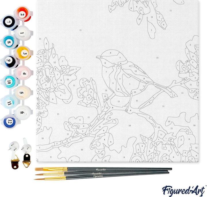 Immagine prodotto Figured'Art Mini Kit da Dipingere con i Numeri con Cornice - Sul ramo fiorito