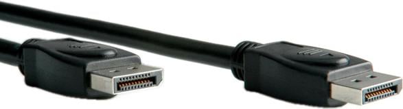 Image du produit Roline DisplayPort — DisplayPort (2 m, DisplayPort)