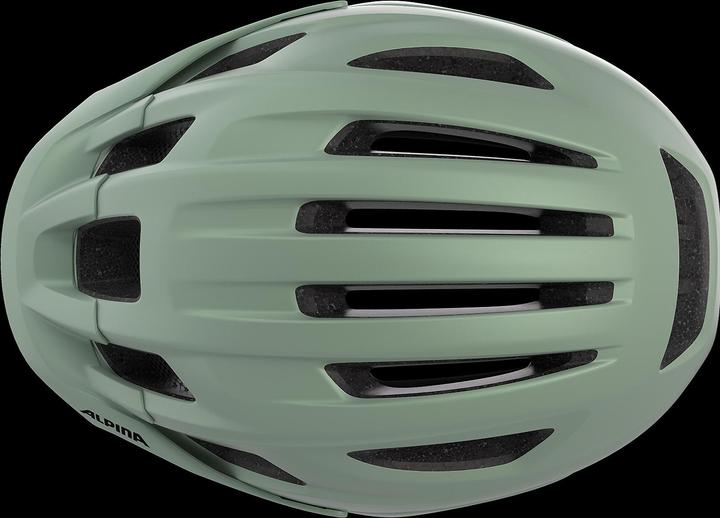 Productafbeelding Alpina Paranus Mips (55 - 59 cm)