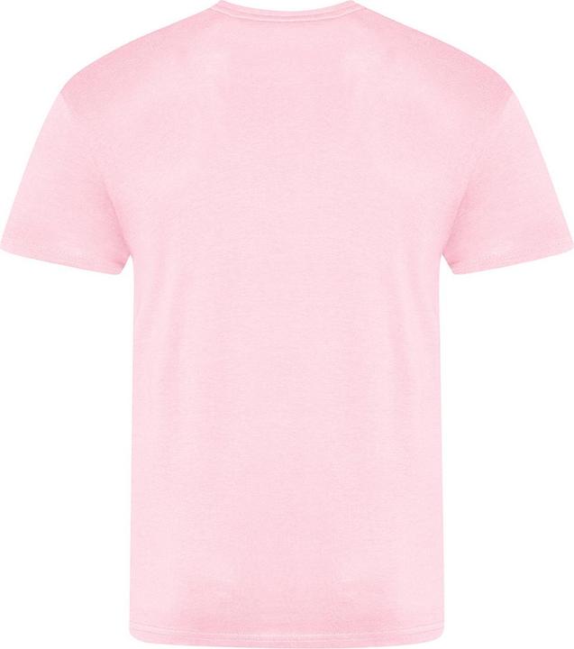 Actual product image Awdis The 100 Tshirt (S)