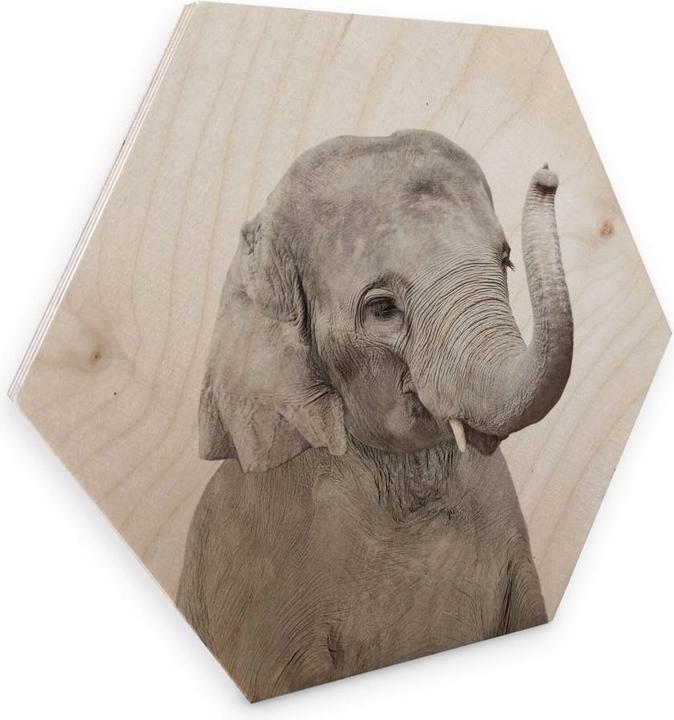 Image du produit Trenddeko Charm Éléphant chance (35 x 30 cm)