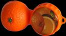 Produktbild Optipak Kontaktlinsen Behälter Orange (Linsenbehälter)