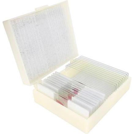 Konus Preparate Set Human Tissue 2 (10 Stk.)