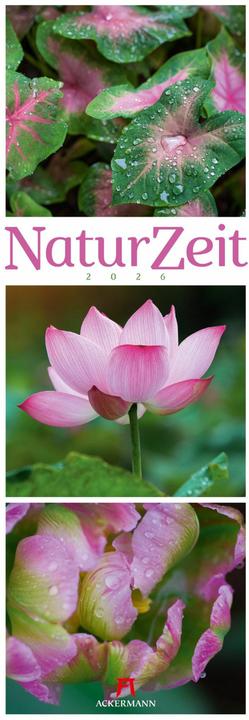 Image du produit NaturZeit Triplet-Kalender 2026 (24 x 66 cm, Allemand)