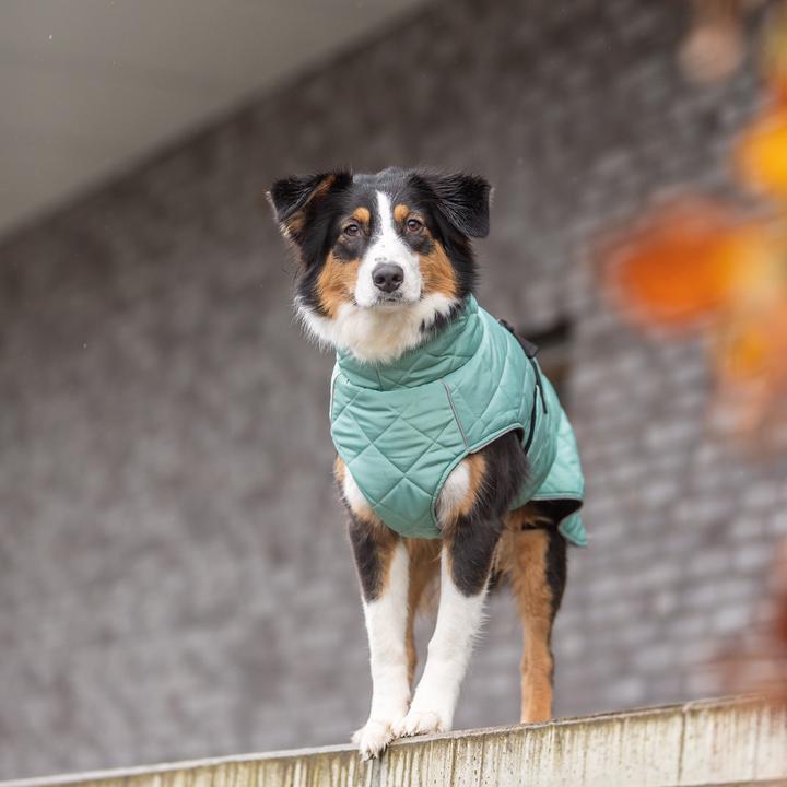 Image du produit Trixie Manteau CityStyle Oslo, recyclé, S, 36 cm, Jade (S, Manteau pour chien)