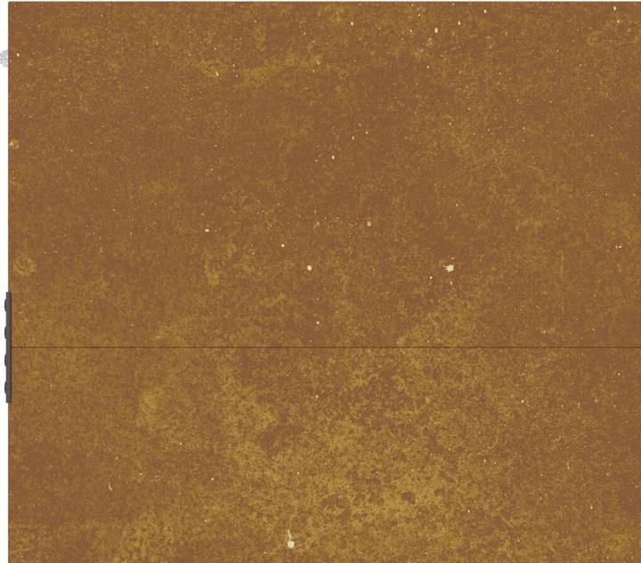 Produktbild vidaXL Gartentor