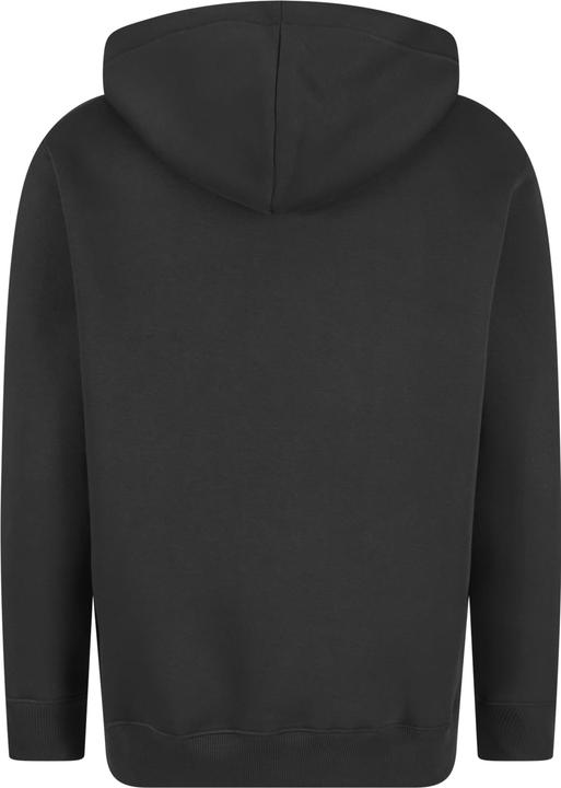 Actual product image Alpha Industries Basic Carbon Hoodies - 196249 (S)