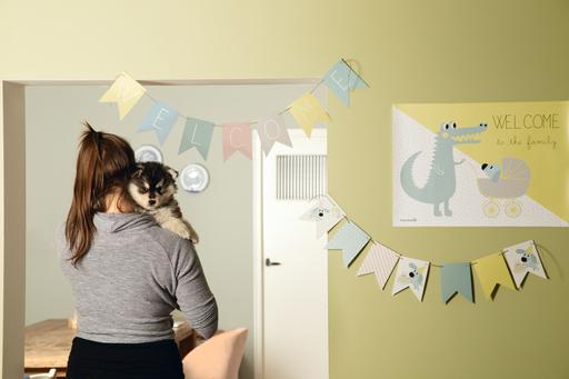 Actual product image Beeztees Paper flag (Puppy Toy)