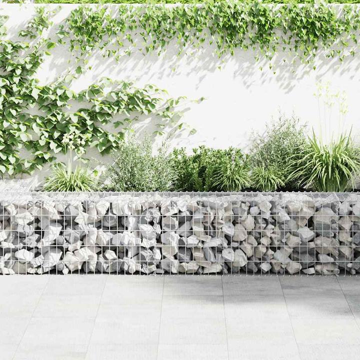 Immagine prodotto vidaXL Gabionenwand mit Abdeckung