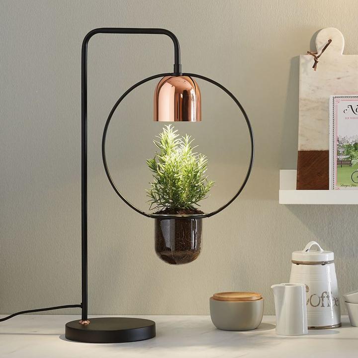 Produktbild Paulmann Neordic Fanja (GU10)