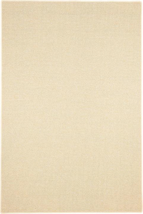 Actual product image Bentzon Nature flatweave carpet (200 x 300 cm)