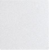 Actual product image Eltako Rocker in E-design55