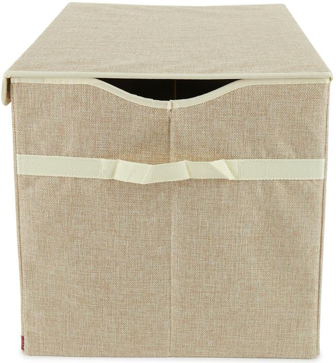 Actual product image Bieco Dust box 'Lion